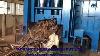 600 Ton Heavy Duty Scrap Metal Shear Baler Metal Recycling Box Shear Box Shear